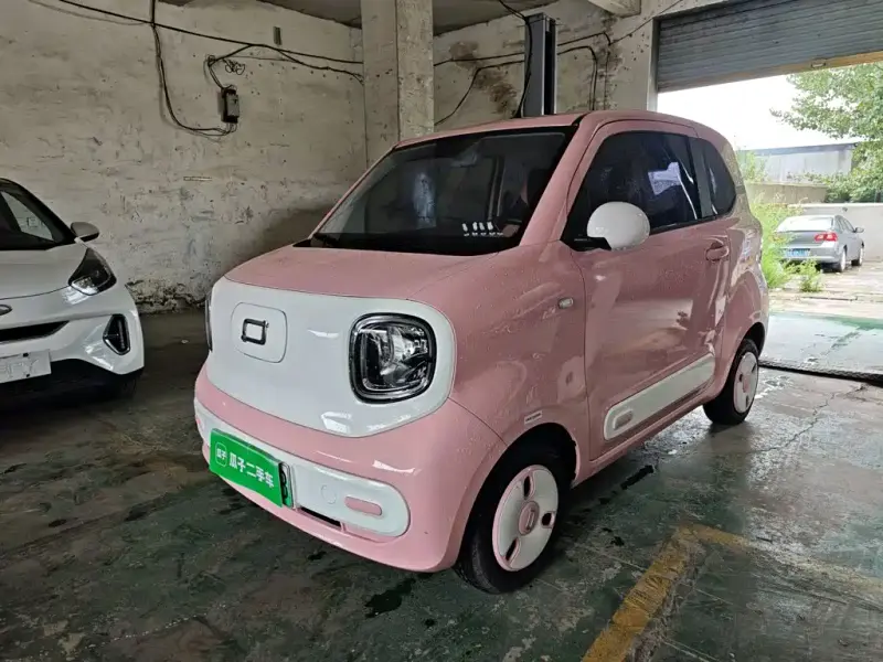 Bestune Pony, 2024
