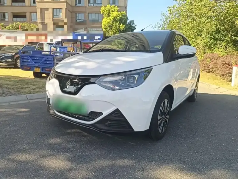JMEV EV2, 2025