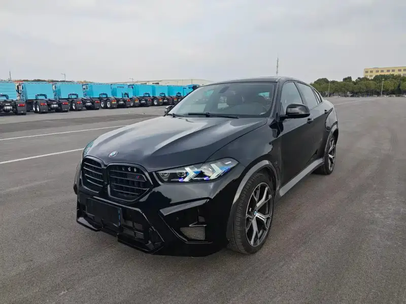 BMW X6, 2009