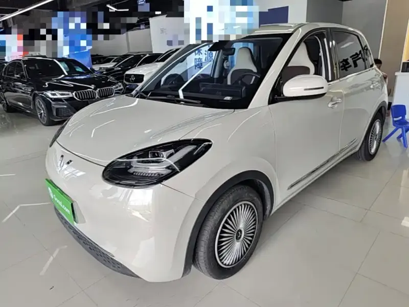 Wuling Bingo, 2023