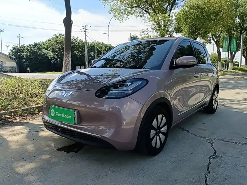 Wuling Bingo, 2023