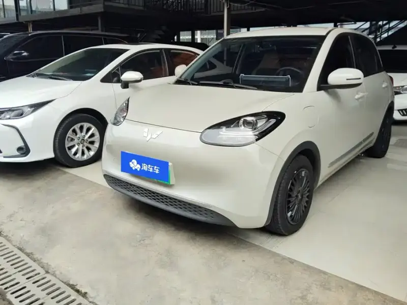 Wuling Bingo, 2023