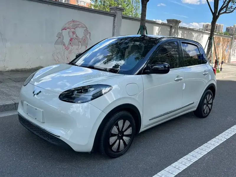 Wuling Bingo, 2023