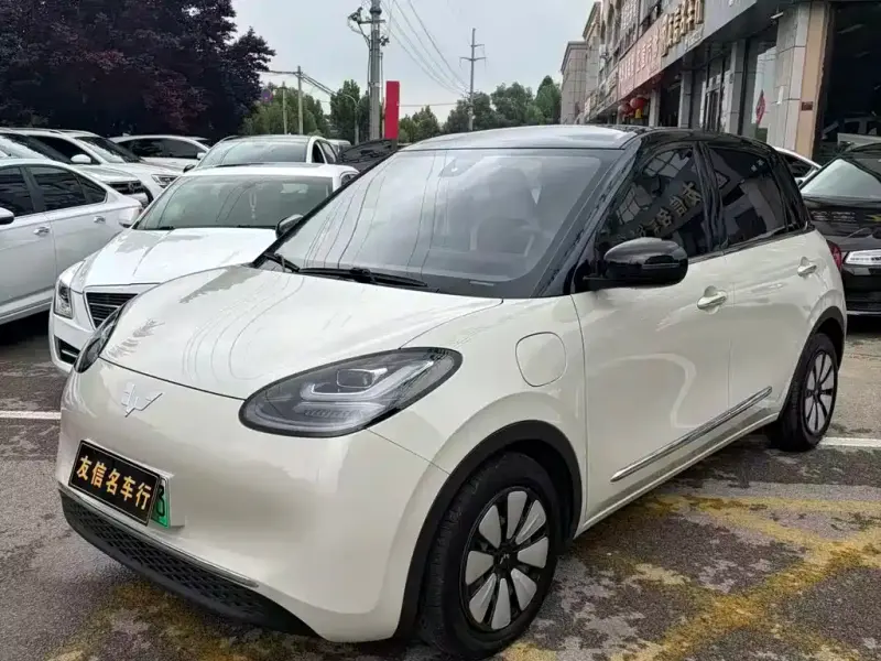 Wuling Bingo, 2024