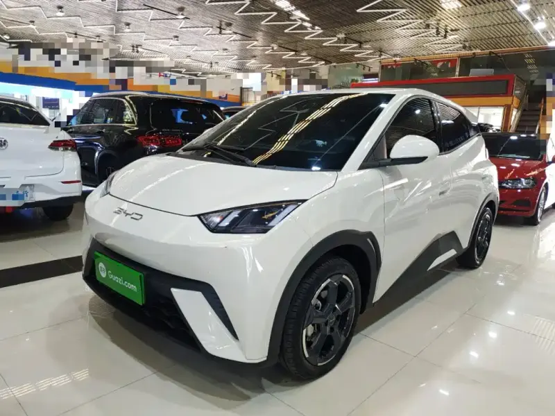 BYD Seagull, 2023