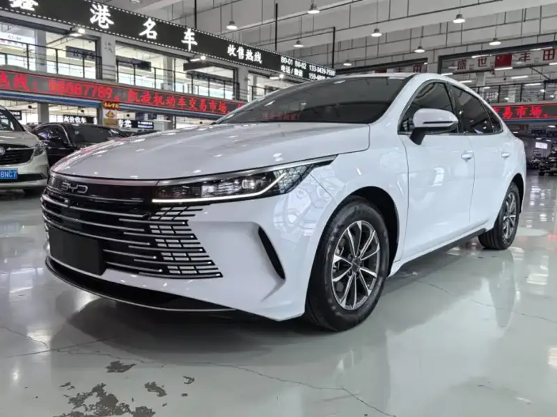 BYD Destroyer 05, 2024