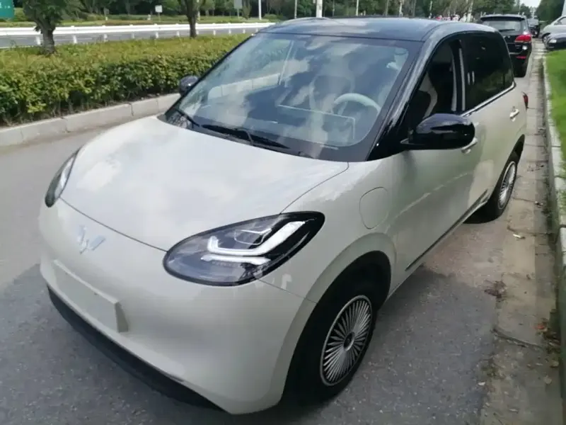 Wuling Bingo, 2024