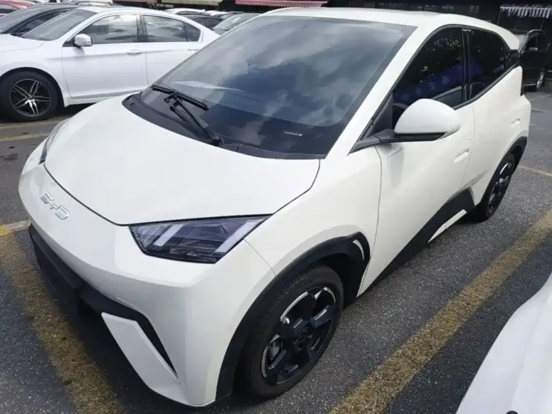 BYD Seagull, 2024