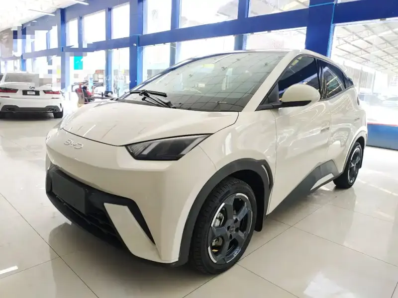 BYD Seagull, 2024
