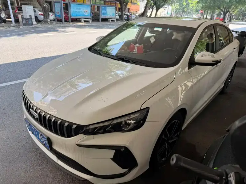 Geely Binrui, 2024