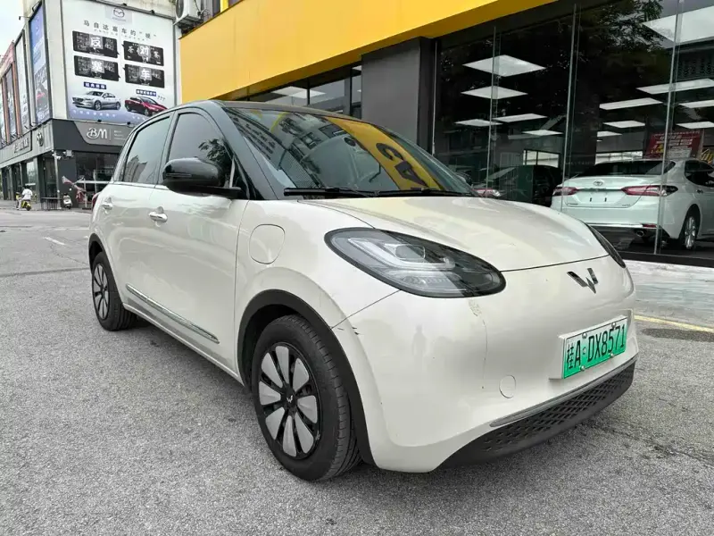 Wuling Bingo, 2024