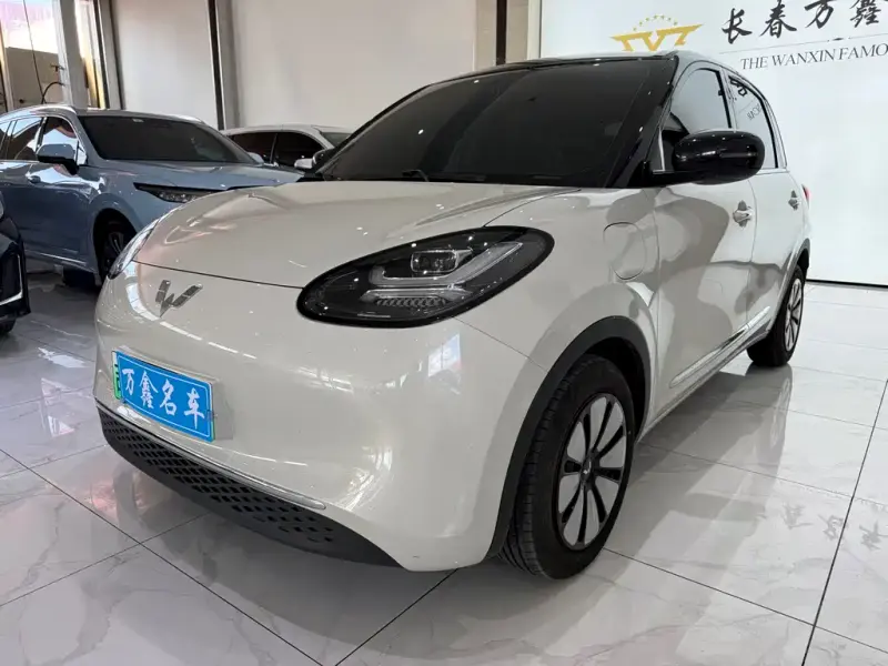 Wuling Bingo, 2024