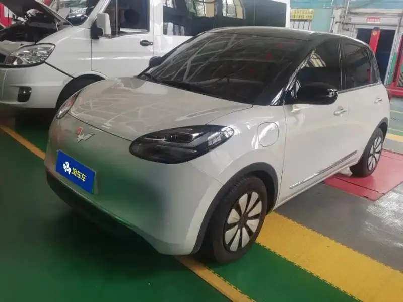 Wuling Bingo, 2024
