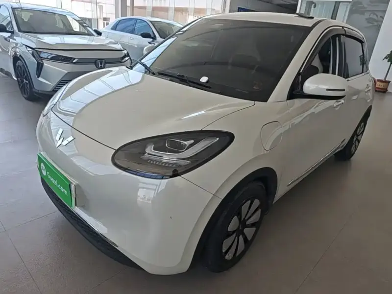 Wuling Bingo, 2024