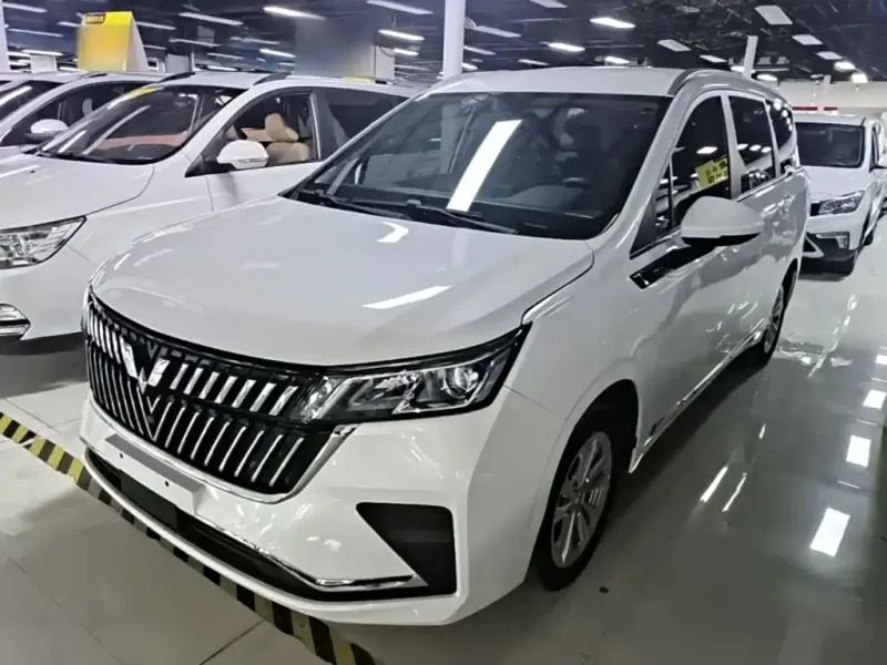 Wuling Jiachen, 2024
