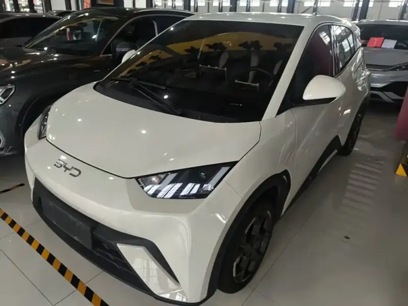 BYD Seagull, 2024