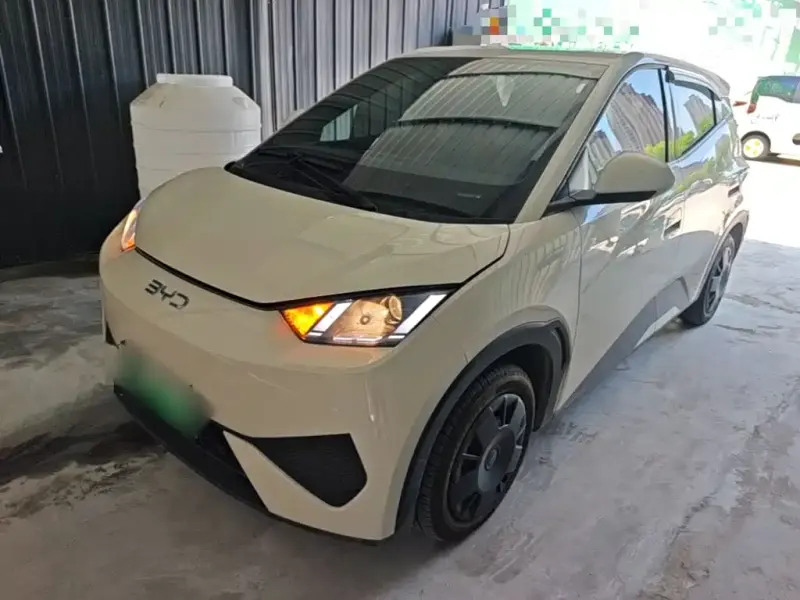 BYD Seagull, 2025
