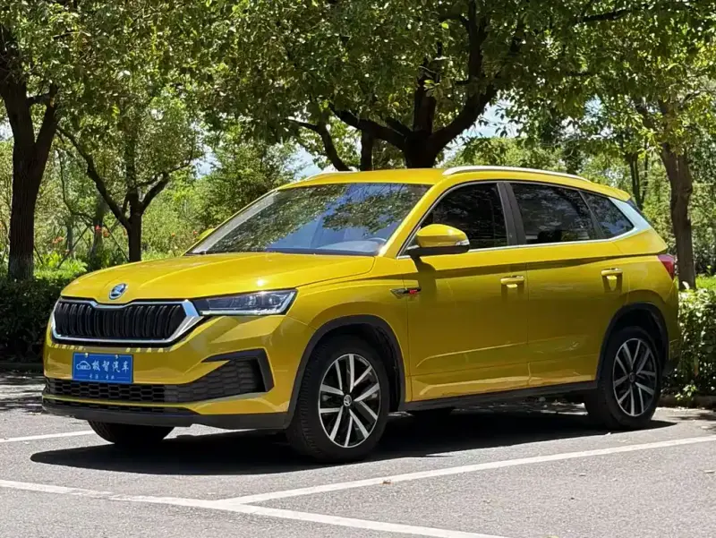 Skoda Kamiq, 2021