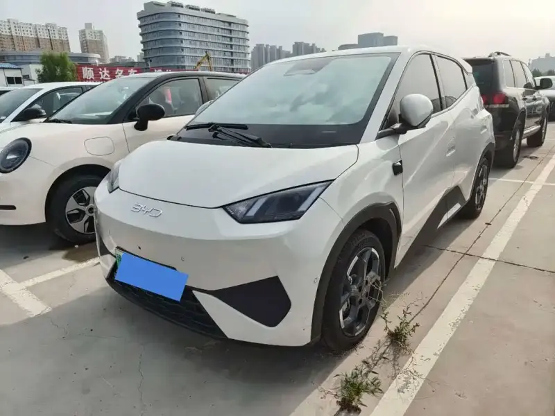 BYD Seagull, 2025