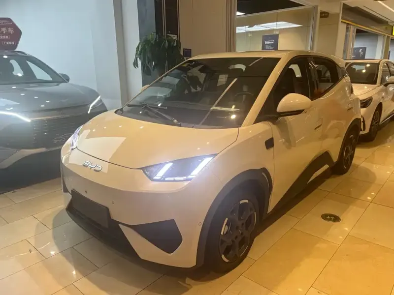 BYD Seagull, 2025