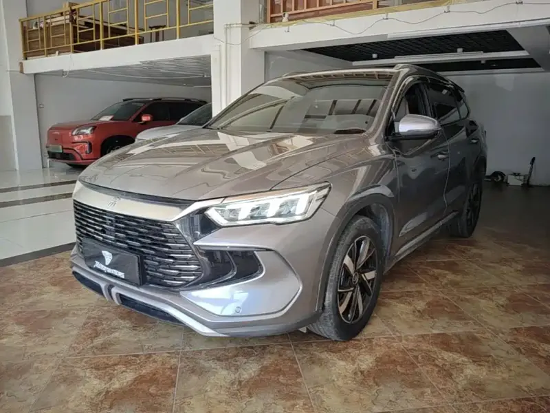BYD Pro New Energy, 2024