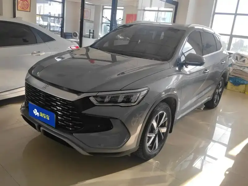 BYD Pro New Energy, 2023