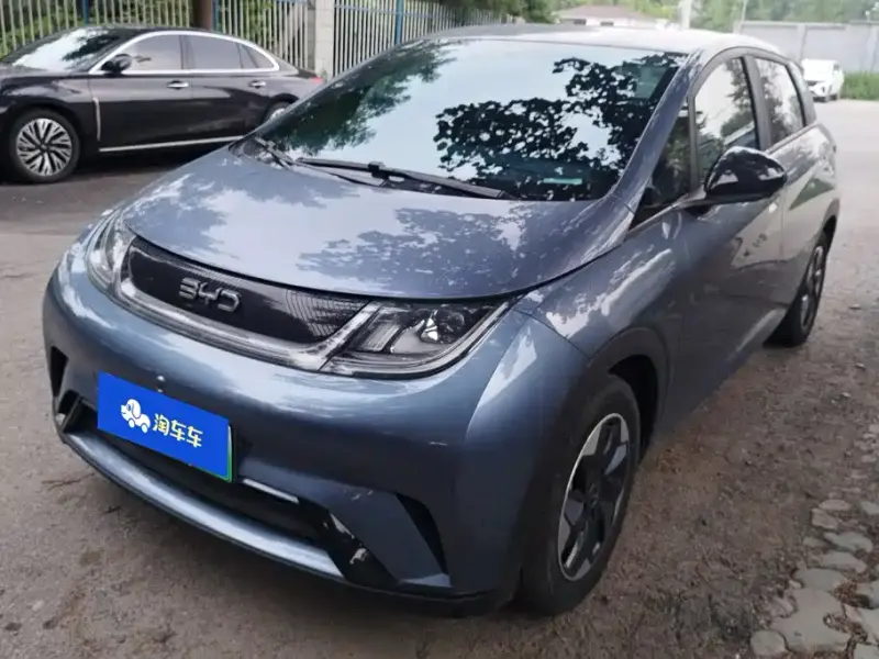 BYD Dolphin, 2024