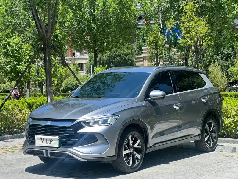 BYD Pro New Energy, 2024