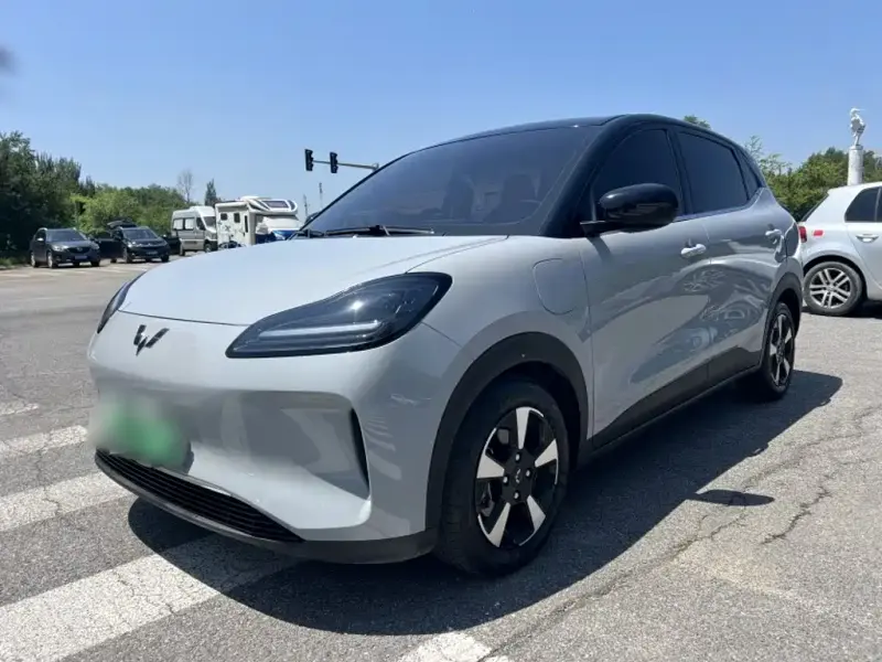 Wuling Bingo PLUS, 2024