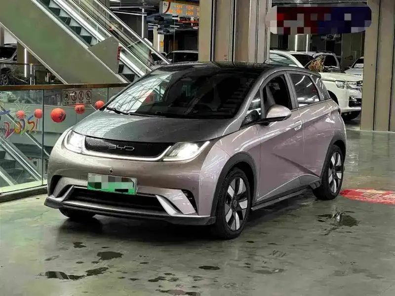 BYD Dolphin, 2024