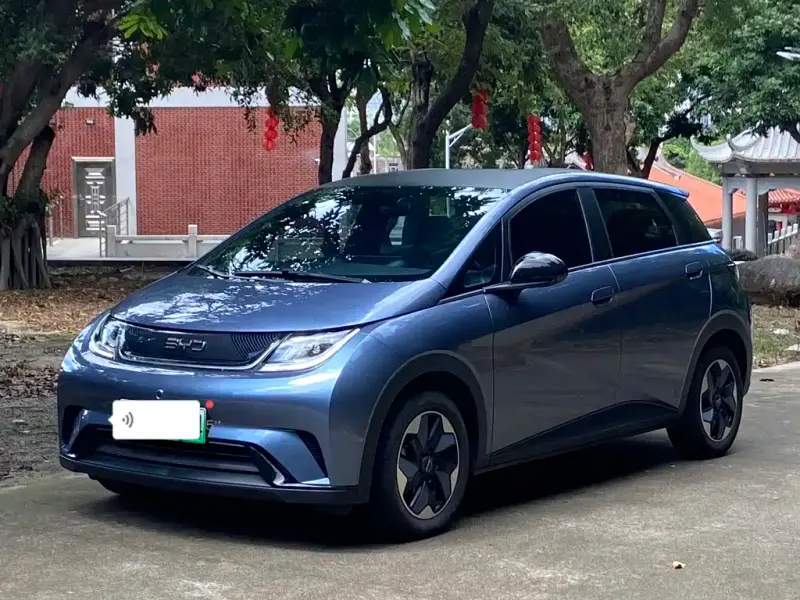 BYD Dolphin, 2025