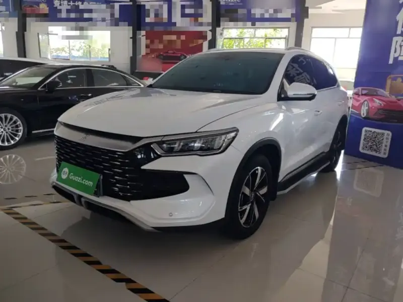 BYD Pro New Energy, 2024