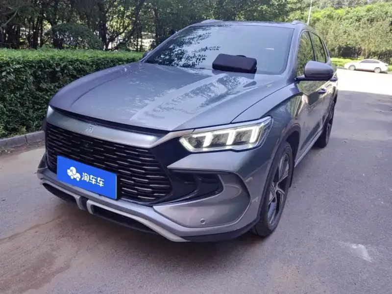 BYD Pro New Energy, 2023