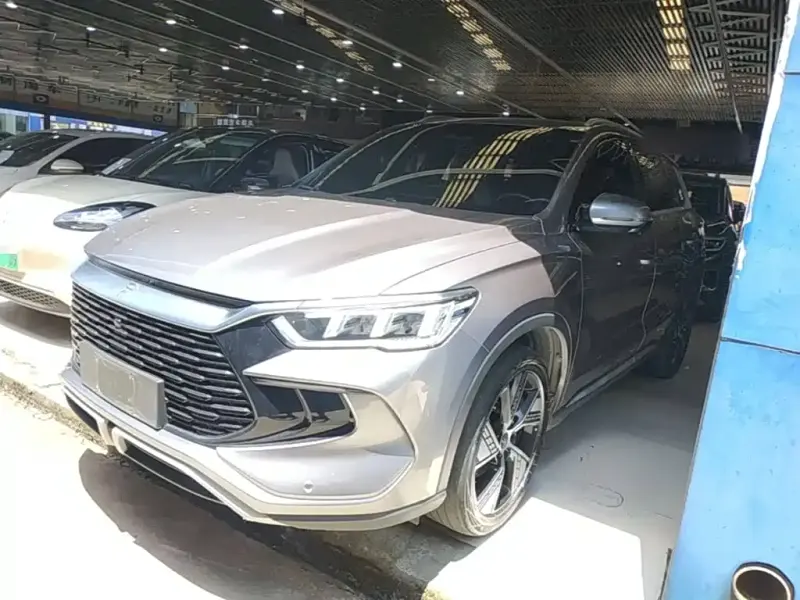 BYD Pro New Energy, 2024