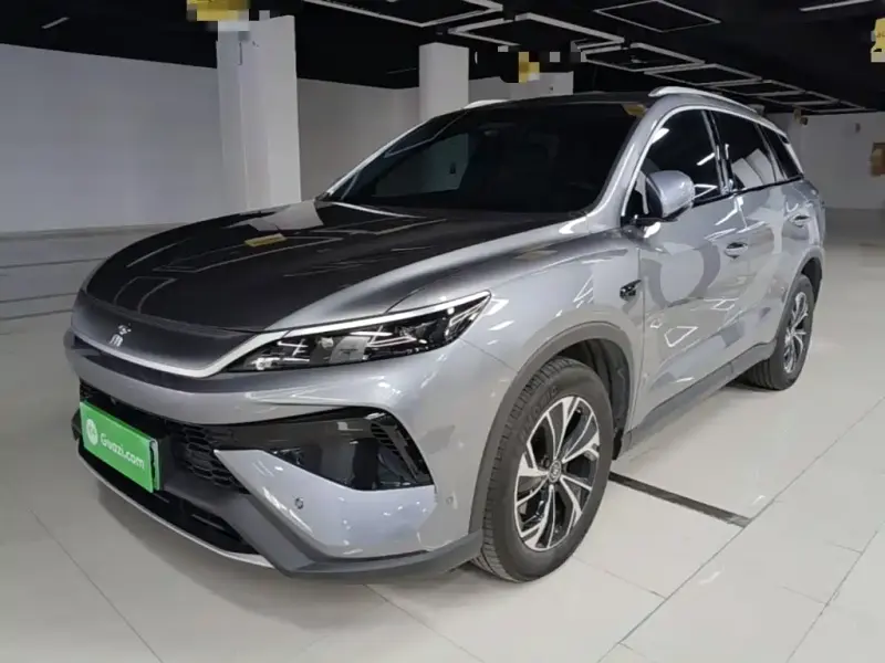 BYD Pro New Energy, 2025
