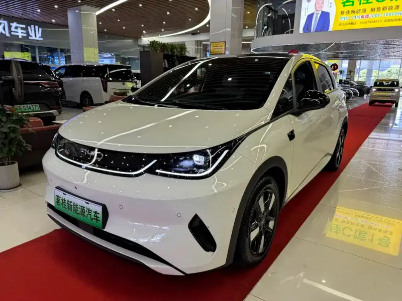 BYD Dolphin, 2025