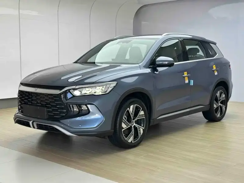 BYD Pro New Energy, 2024