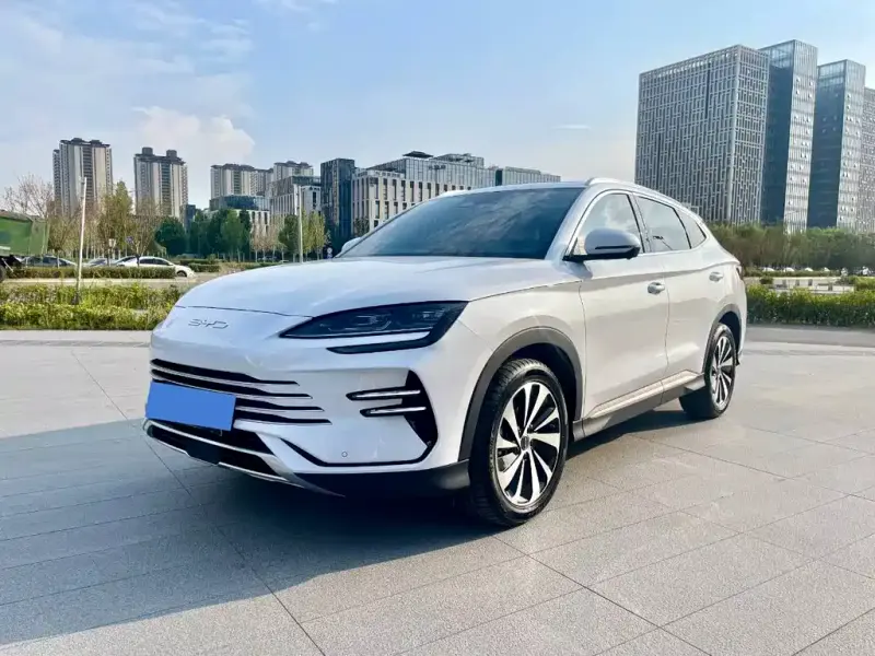 BYD PLUS New Energy, 2024