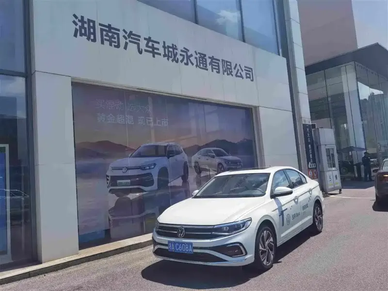 Volkswagen Bora, 2024