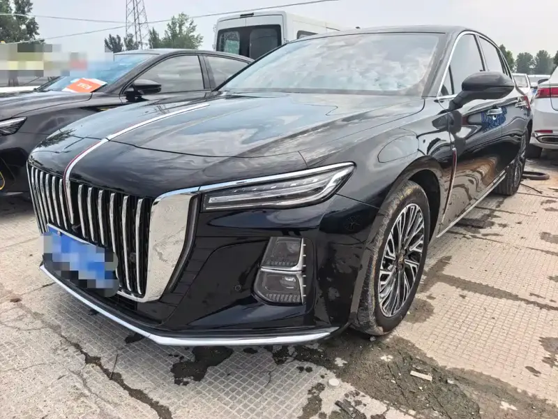 Hongqi H5, 2024