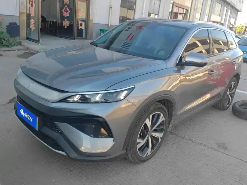 BYD Pro New Energy, 2025