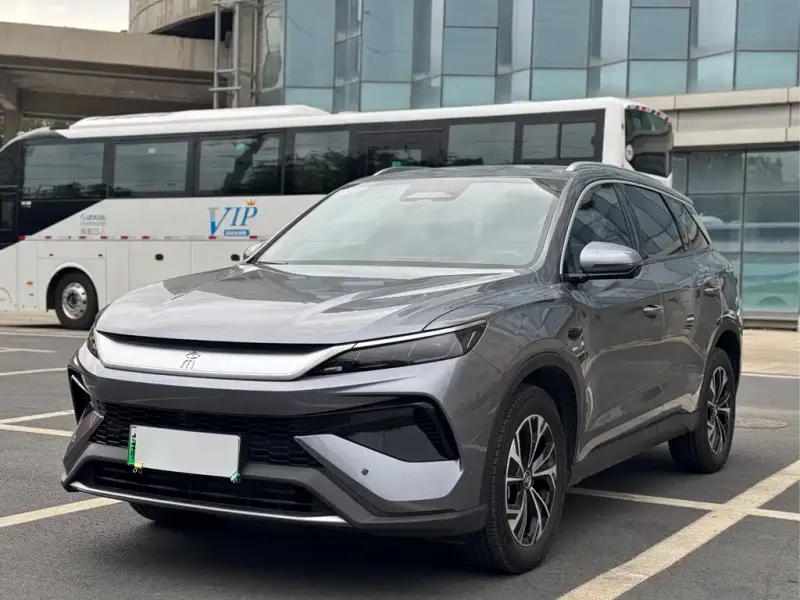BYD Pro New Energy, 2025