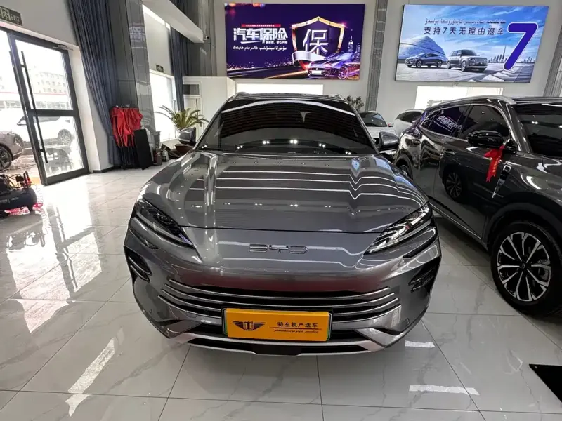 BYD PLUS New Energy, 2024