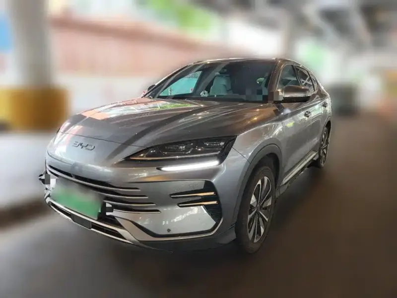 BYD PLUS New Energy, 2024