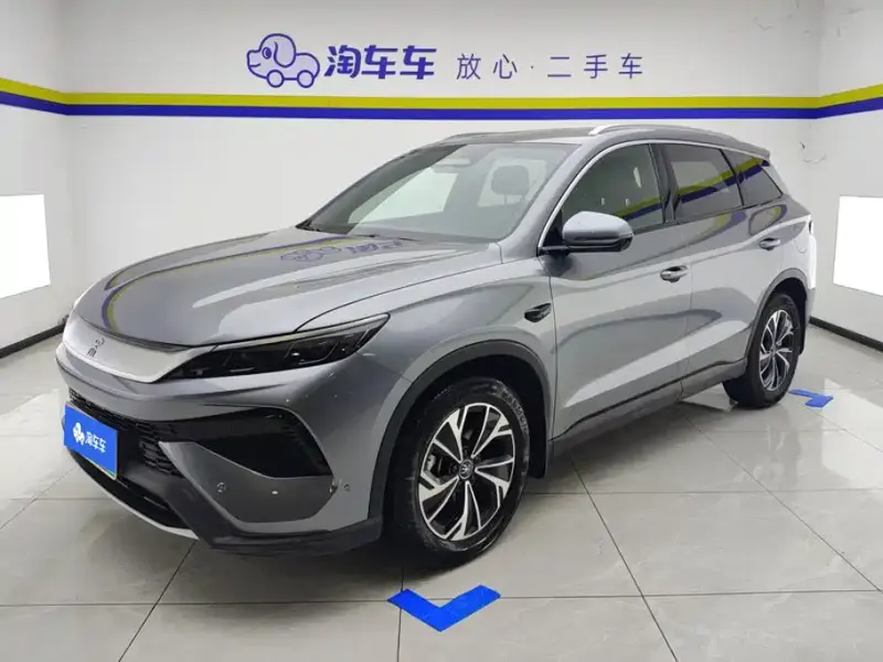 BYD Pro New Energy, 2025