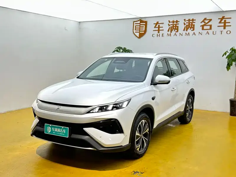 BYD Pro New Energy, 2025