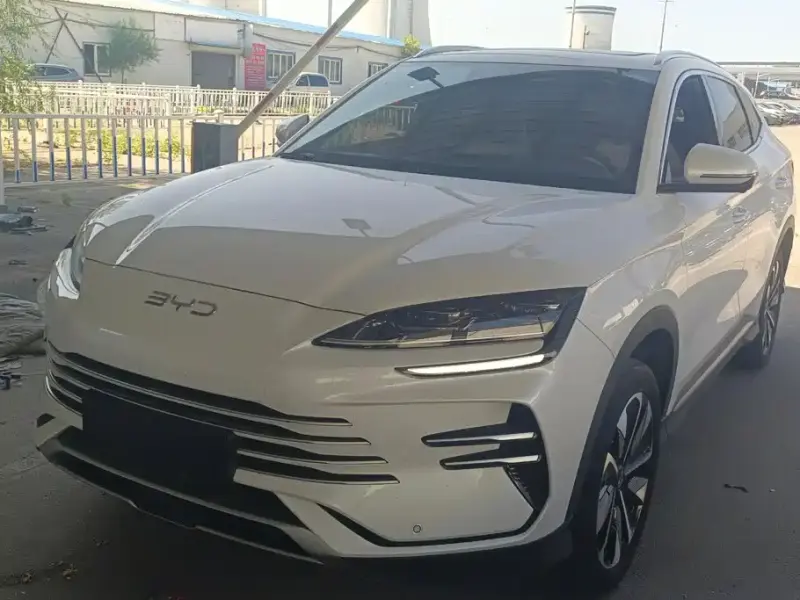 BYD PLUS New Energy, 2024