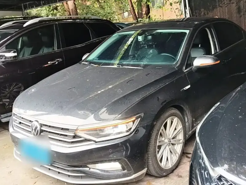 Volkswagen Magotan, 2021