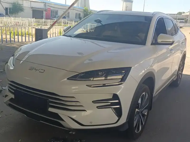 BYD PLUS New Energy, 2025