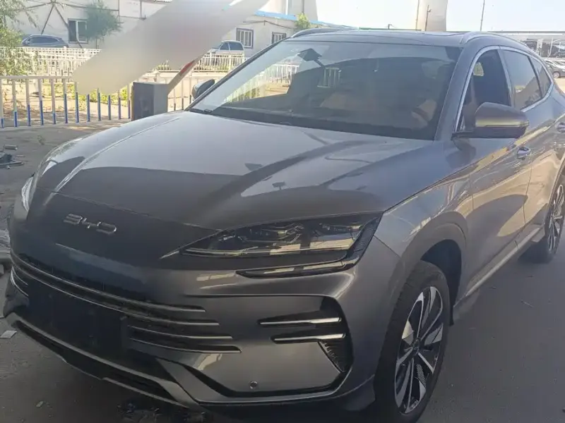 BYD PLUS New Energy, 2024
